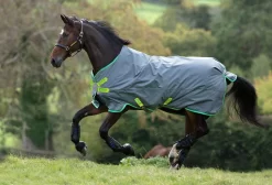 Horseware Amigo Hero 900 Turnout Medium 200g