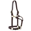 Weaver Leather Small Horse 1in Oiled Track Halter