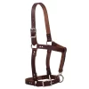 Weaver Leather 1in Oiled Horse Riveted Halter