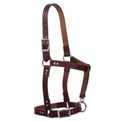 Weaver Leather 1in Oiled Horse Riveted Halter