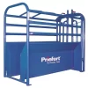 Priefert Roping Chute Add-on Section