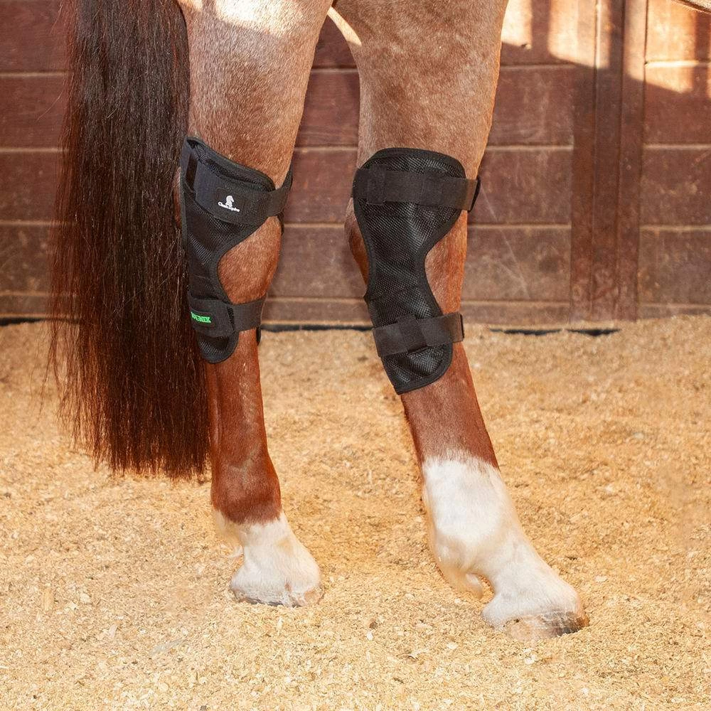 Classic Classic Equine Black MagNTX Magnetic Hock Wrap 1 Classic Classic Equine Black MagNTX Magnetic Hock Wrap