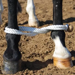 Martin Saddlery Rope Hobble With Rawhide Button