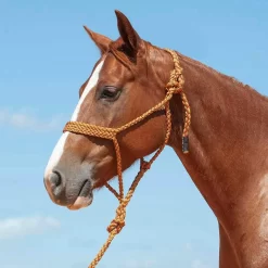 Cashel Company Flat Braid Halter W/9ft Lead -Equestrian Supplies Sale 211122 649091