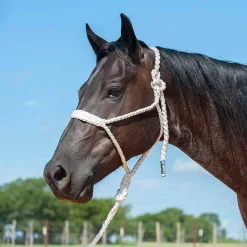Cashel Company Flat Braid Halter W/9ft Lead -Equestrian Supplies Sale 211122 649097