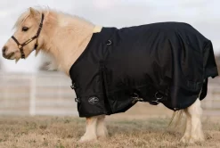 Professionals Choice Black 1200D Pony Winter Blanket -Equestrian Supplies Sale 214478 665278