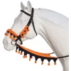 Tough 1 Halloween Rein And Halter Set