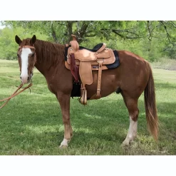 Circle Y Saddlery Guthrie Team Roper -Equestrian Supplies Sale 2778 2504 05 L2