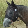Cashel Company Quiet Ride Black Horse Fly Mask With Ears