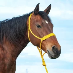 Cashel Company Flat Braid Halter W/9ft Lead -Equestrian Supplies Sale HTR BMTH fromShopify 2