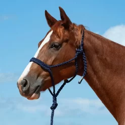 Cashel Company Flat Braid Halter W/9ft Lead -Equestrian Supplies Sale HTR BMTH fromShopify 3