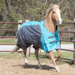 NRS New Turnout Horse Blanket -Equestrian Supplies Sale NRS TSHEET Lifestyle
