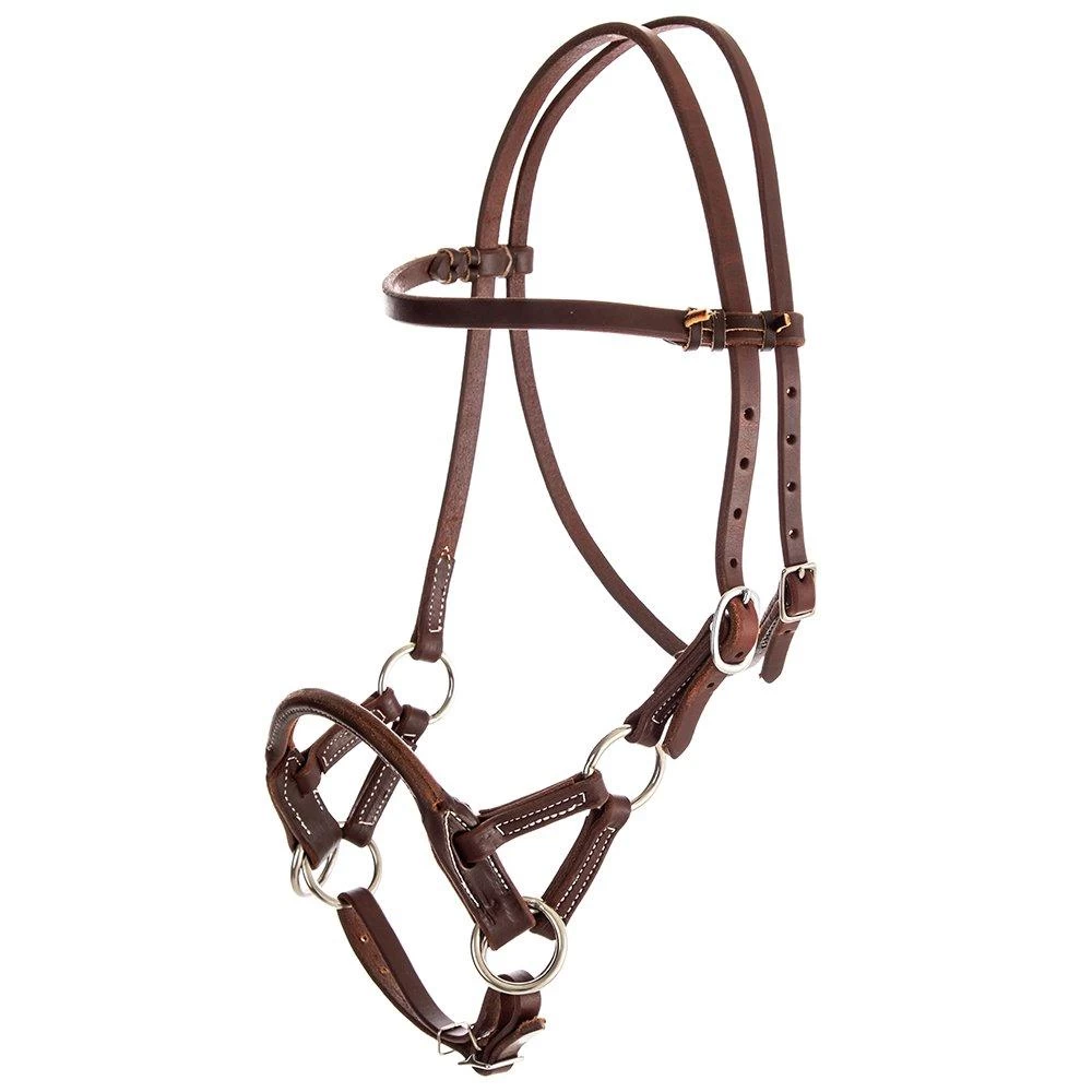 NRS Side Pull W/ Oiled Harness Leather 2 NRS Side Pull W/ Oiled Harness Leather - Image 2