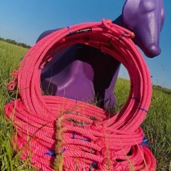 Equestrian Supplies Sale -Equestrian Supplies Sale WD PINKPANTHER Lifestyle