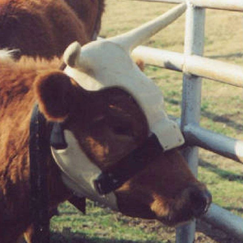 NRS Strap On Muley Horns 3 NRS Strap On Muley Horns - Image 3