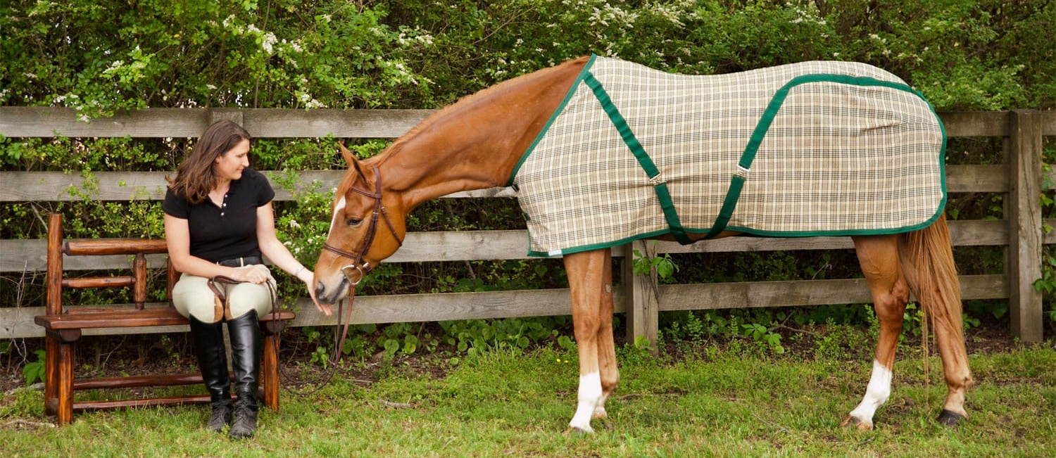 Equestrian Supplies Sale -Equestrian Supplies Sale 2